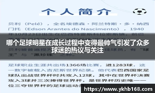 必一·体育(b-sports)